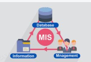 دانلود تحقیق  مدیریت سیستم