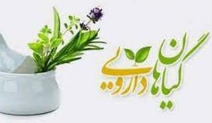 دانلود تحقیق دلایل رویکرد به گیاهان دارویی