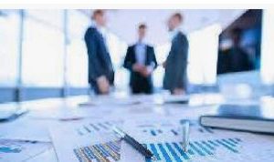 دانلود تحقیق مدیریت توسعه داخلی